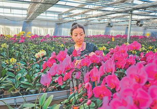 網(wǎng)上的人民日報