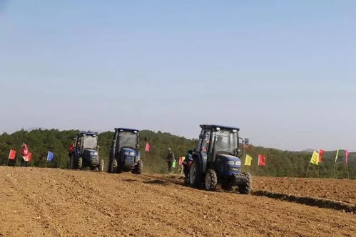 精品苗培育幾大缺點,你中招了嗎