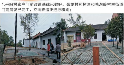 十月份聯(lián)村黨委林業(yè)種殖工作紀(jì)實 創(chuàng)新模式與生態(tài)富民雙贏